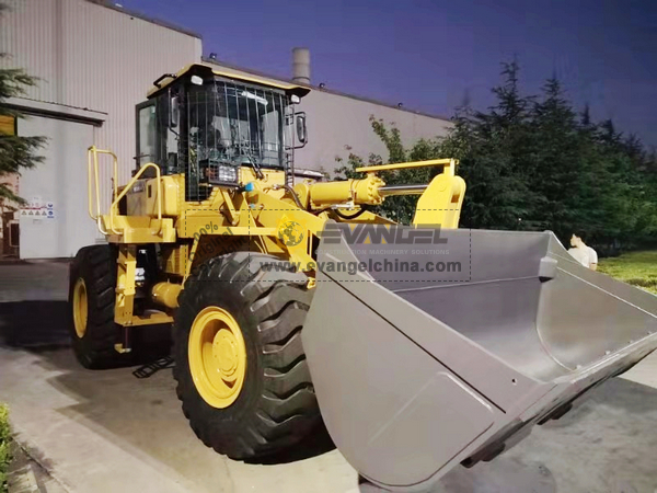 1 Unit FOTON Wheel Loader FL958G-II 